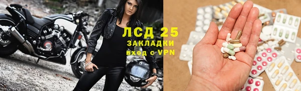 ПСИЛОЦИБИНОВЫЕ ГРИБЫ Дмитриев