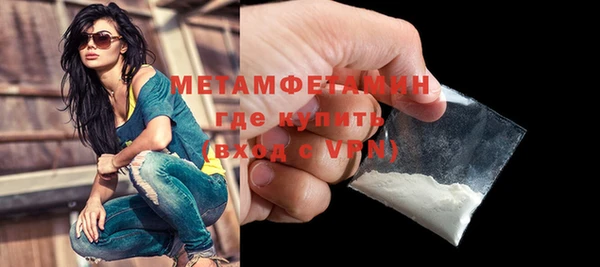 ПСИЛОЦИБИНОВЫЕ ГРИБЫ Дмитриев