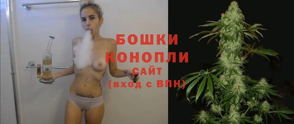 a pvp Гусь-Хрустальный