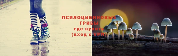 a pvp Гусь-Хрустальный