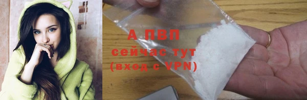 альфа пвп Гусев