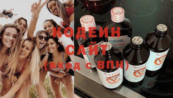 альфа пвп Гусев