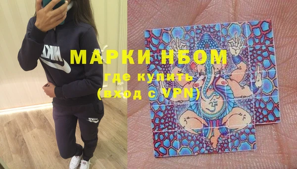 ПСИЛОЦИБИНОВЫЕ ГРИБЫ Дмитриев
