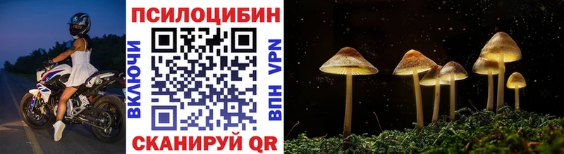 Купить закладки  Болотное  Псилоцибиновые грибы Psilocybine cubensis 